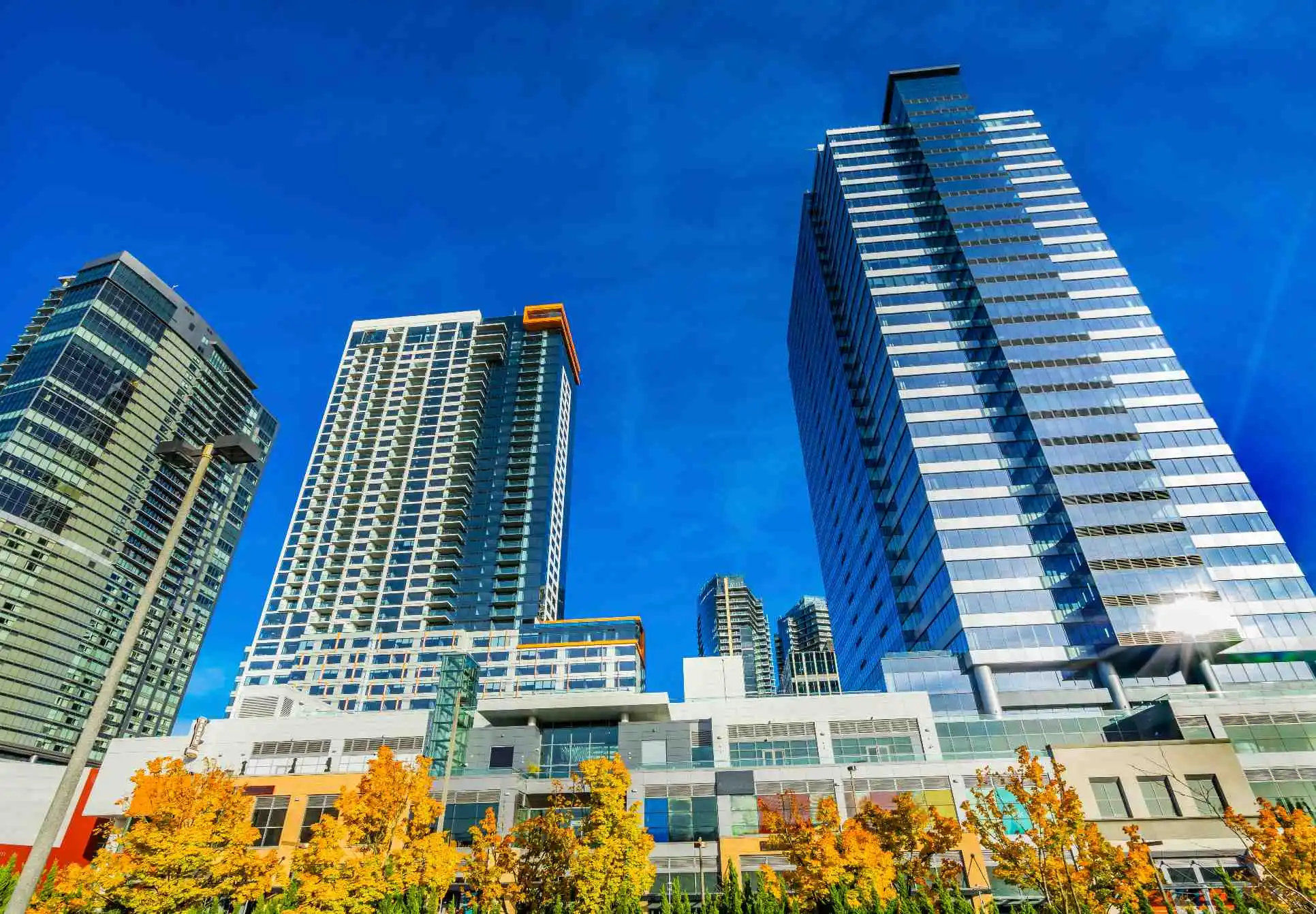 Downtown Bellevue Fall Skyline