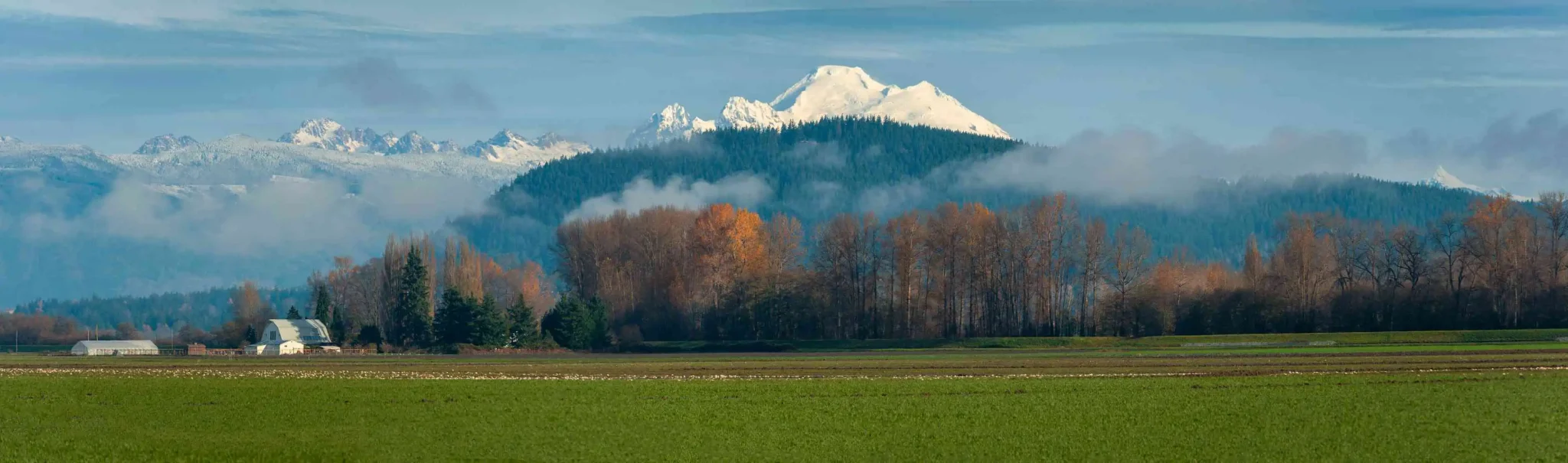 Mt. Baker from Skagit Valley, Washington
