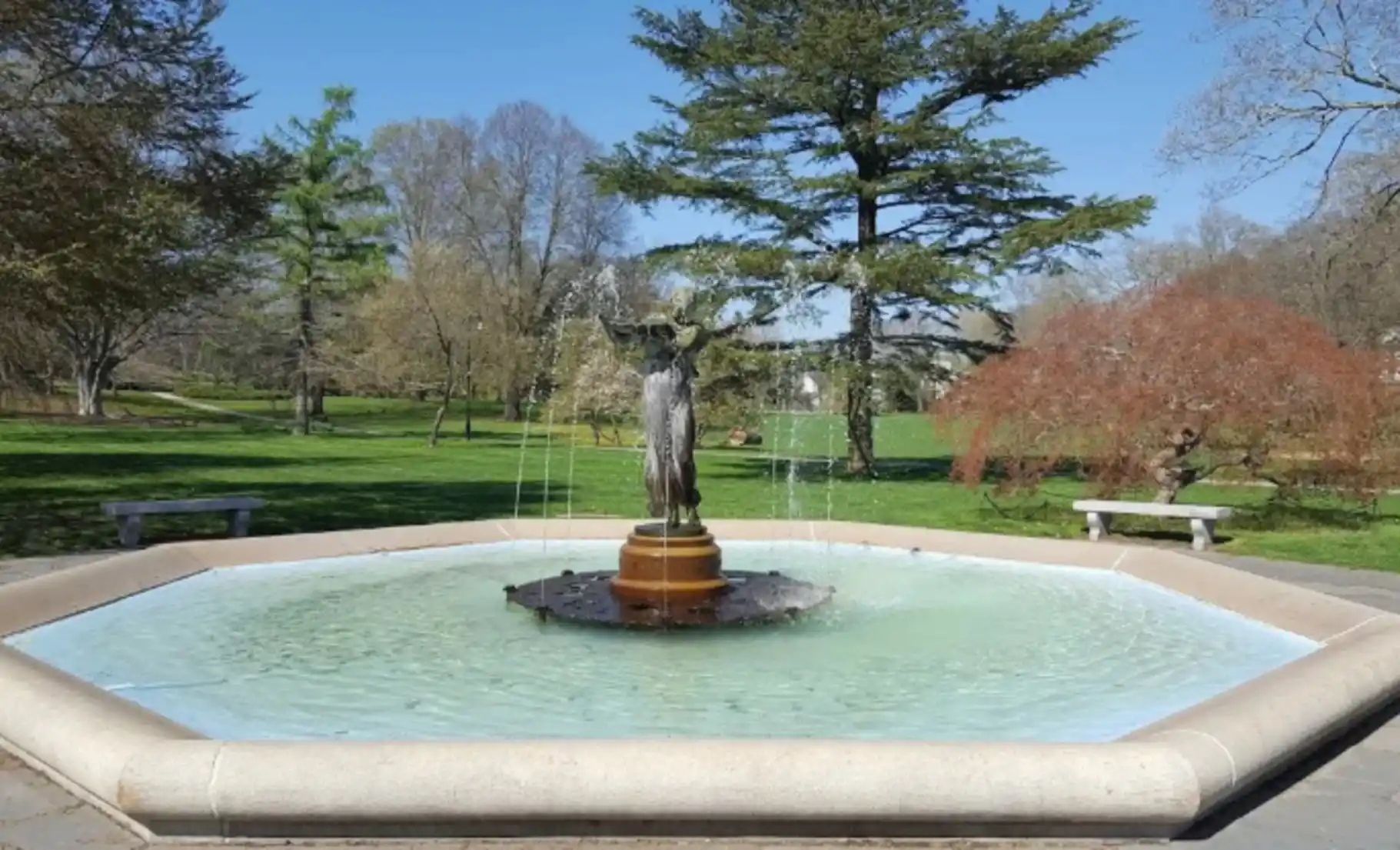 Wilcox Park fountain with landscaped park surroundings and greenery view